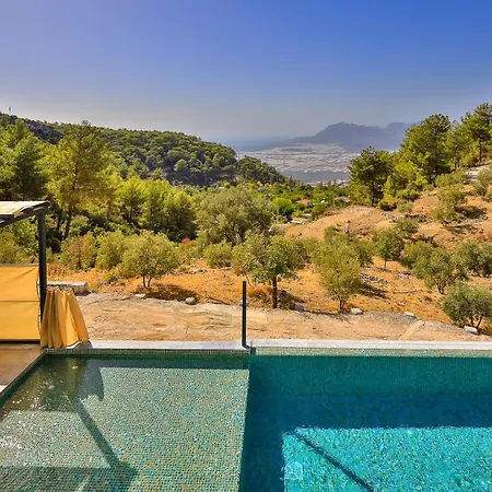 Shb Kalkan